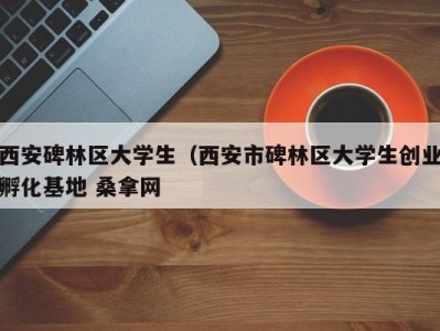 昆明西安碑林区大学生（西安市碑林区大学生创业孵化基地 桑拿网