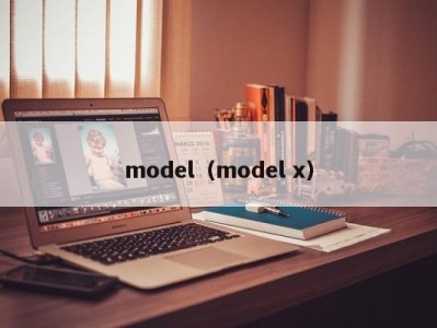 昆明model（model x）